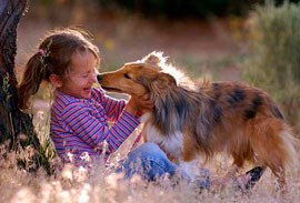 Взаимоотношения собаки и ребёнка